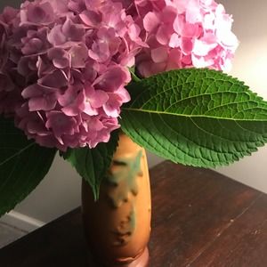 Meet your Posher, Cyndi